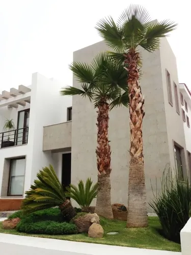 Casa en venta en Pinar, Ciudad Adolfo Lopez Mateos, Atizapán de Zaragoza, Estado de México