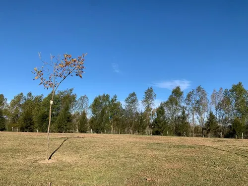 Terreno en venta en El Naudir, El Naudir, Escobar, GBA Norte, Provincia de Buenos Aires