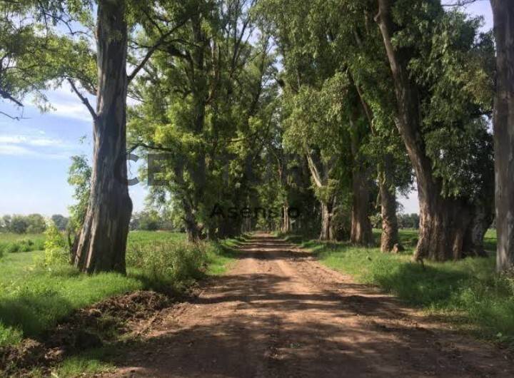 Terreno en venta en Tres Pinos Villa de campo, General Rodríguez
