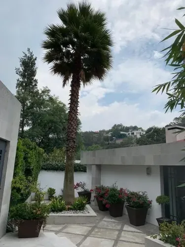 Casa en venta en Bosque de Ombues, Bosques de las Lomas, Cuajimalpa de Morelos, Ciudad de México