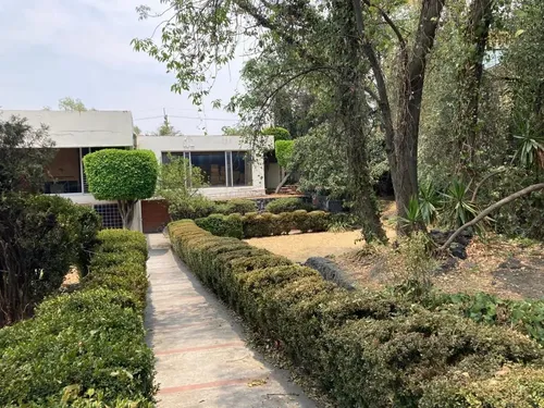 Lote en venta en Lluvia, Jardines del Pedregal, Álvaro Obregón, Ciudad de México